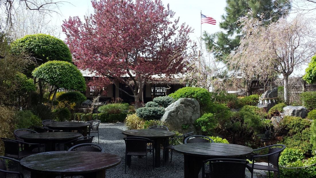 The DOMO garden in spring, flowering trees over the outdoor tables
