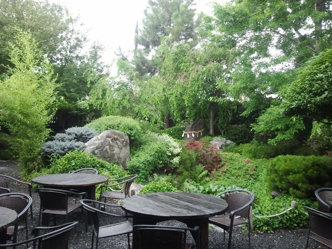 The DOMO garden in summer, deep green with stone tables
